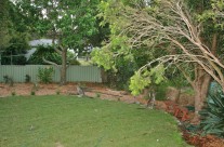 Currarong is home to many Australian native animals, and our backyard is no exception. At dawn or dusk, you’ll usually spot a few of the locals, and be sure to watch out for our resident echidna.