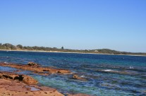 The Rock Pool